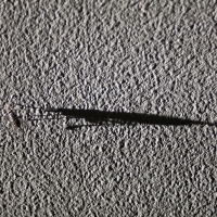 Long Shadow
