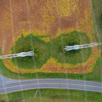 Grumpy Field Is Grumpy