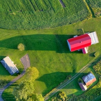 Farm Field