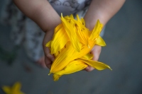 Treasure