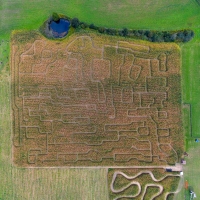 Treasure Map