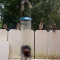 The Art of Queuing