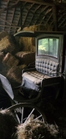 Barn Find