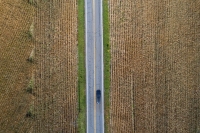 Drive Thru Corn Maze
