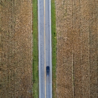 Drive Thru Corn Maze