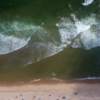 Surf's Down