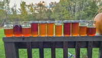 Honey Spectrum