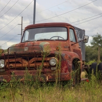 Put Out to Pasture