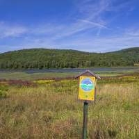 Wide-Open Space