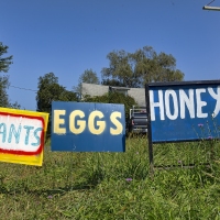 Roadside Attraction