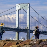 Bridge Fishing