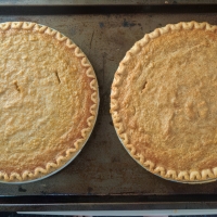 Homemade Pumpkin Pies. Yum!