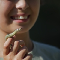 Nature School