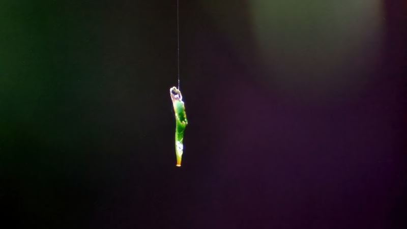 High Wire Act