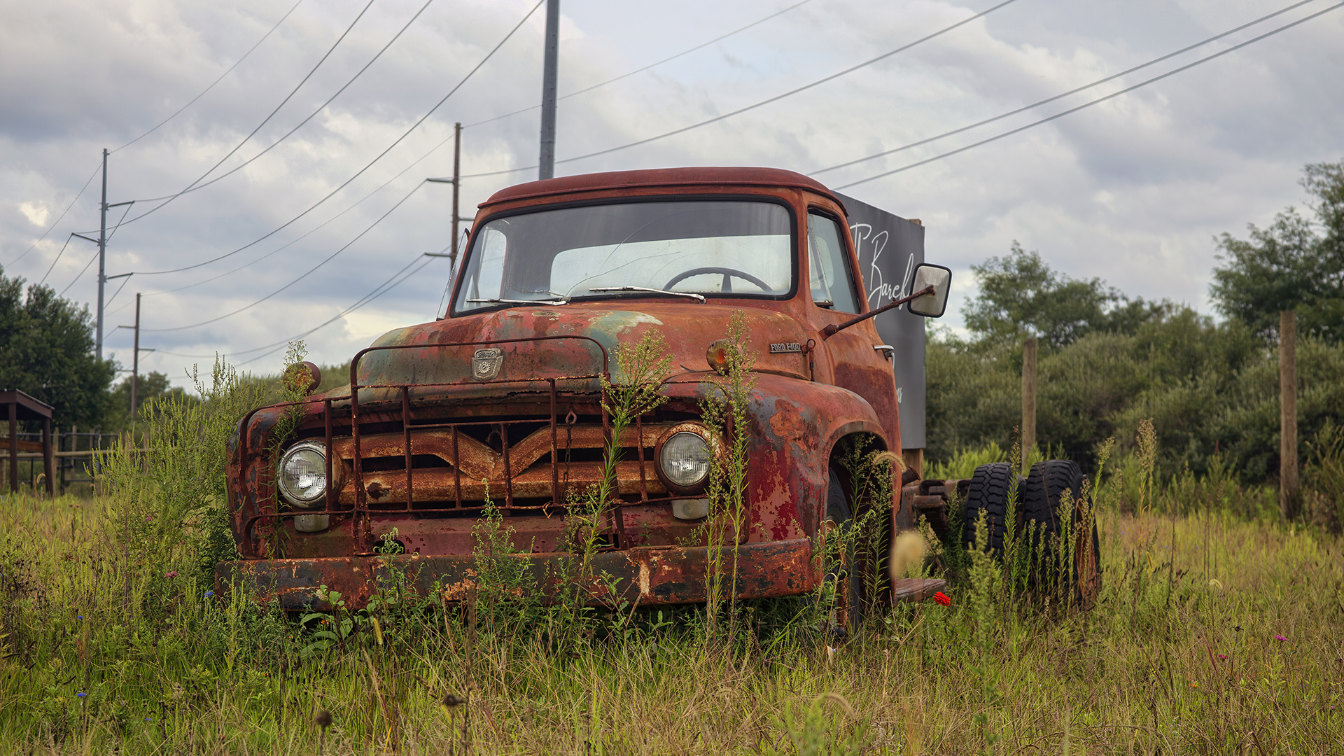 Put Out to Pasture
