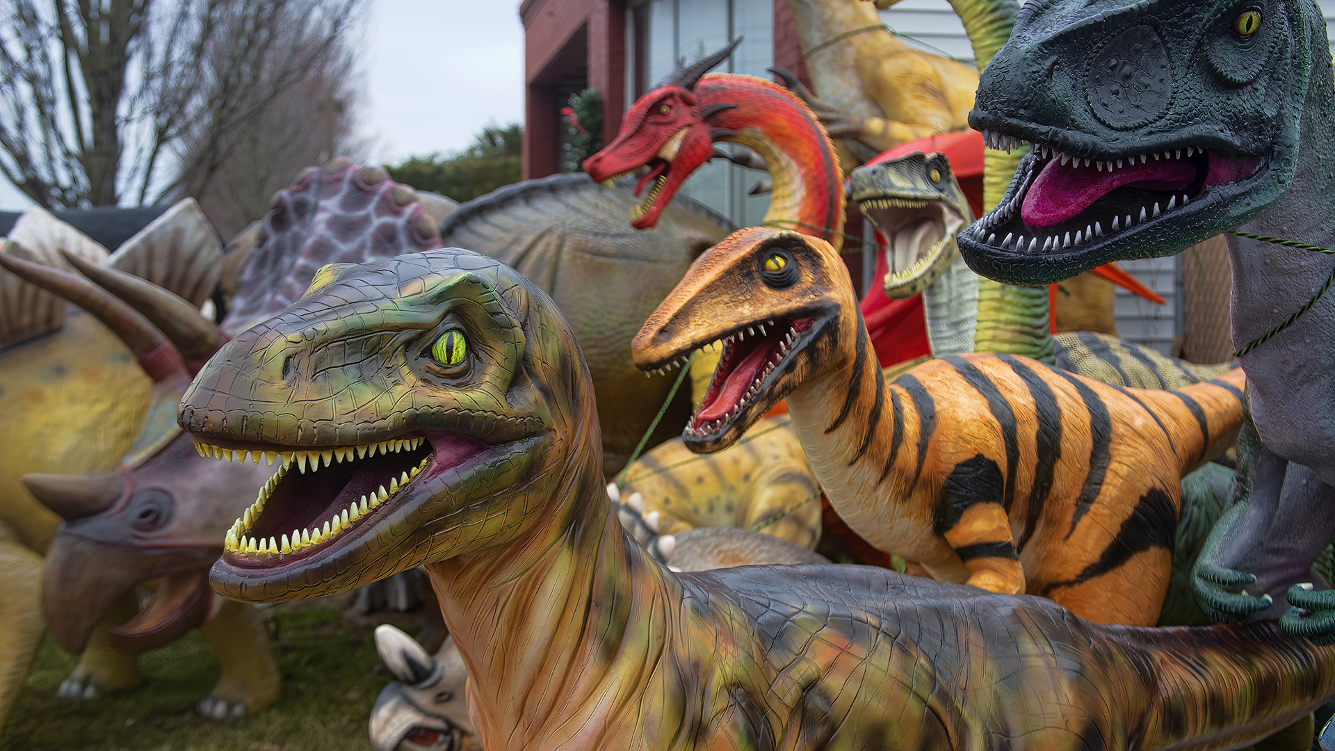 Dino's