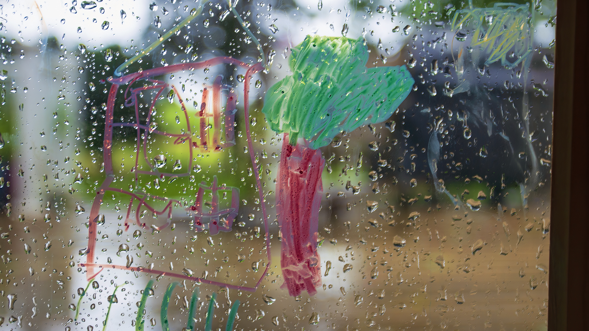 Window Art