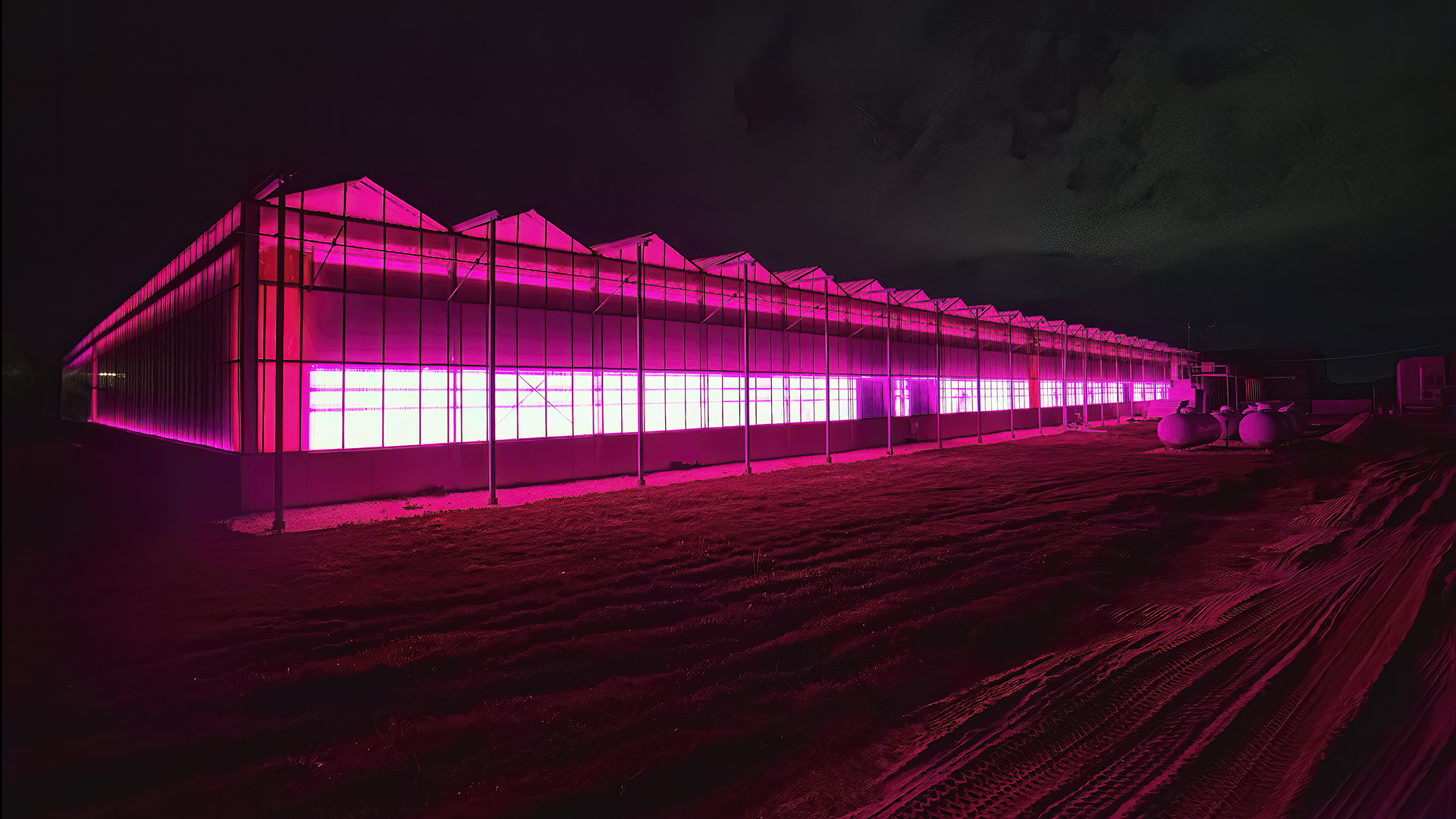 Purple Greenhouse