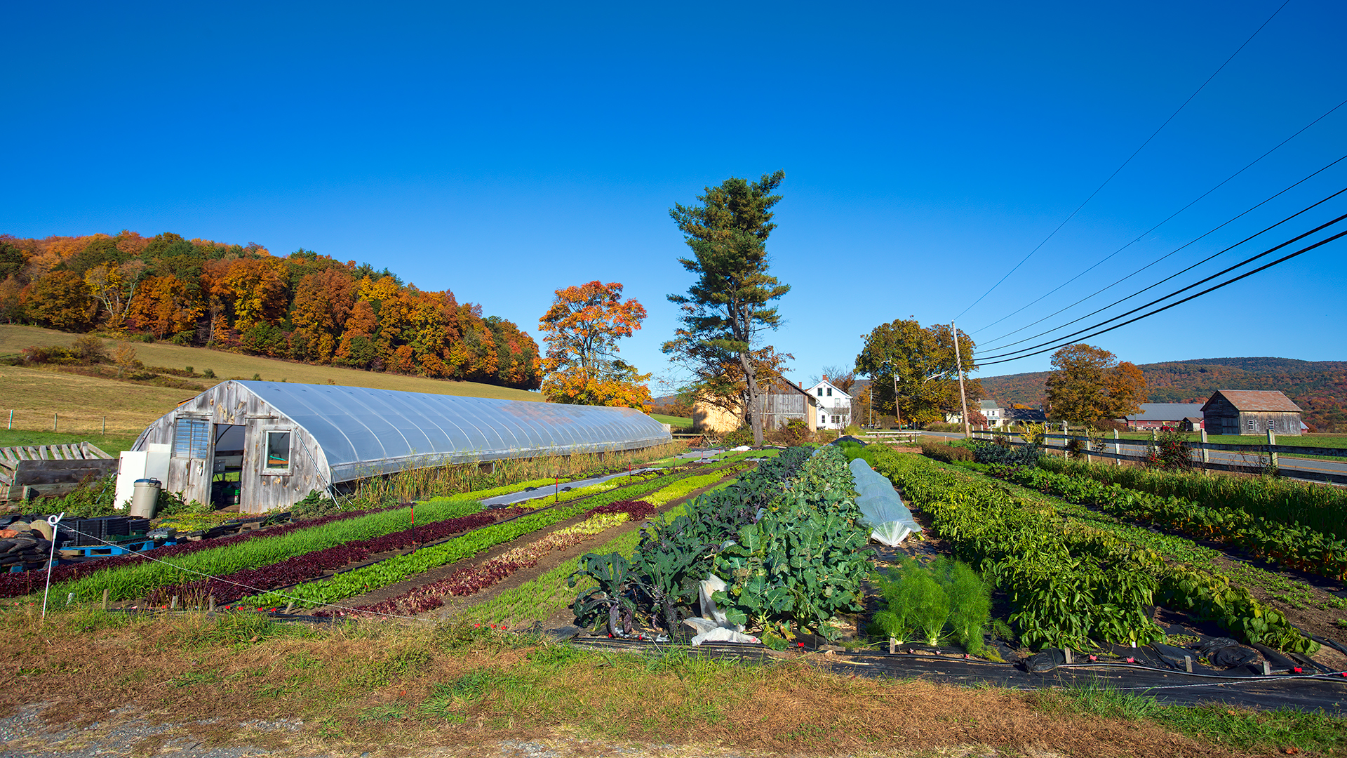 Upinngil Farm, MA