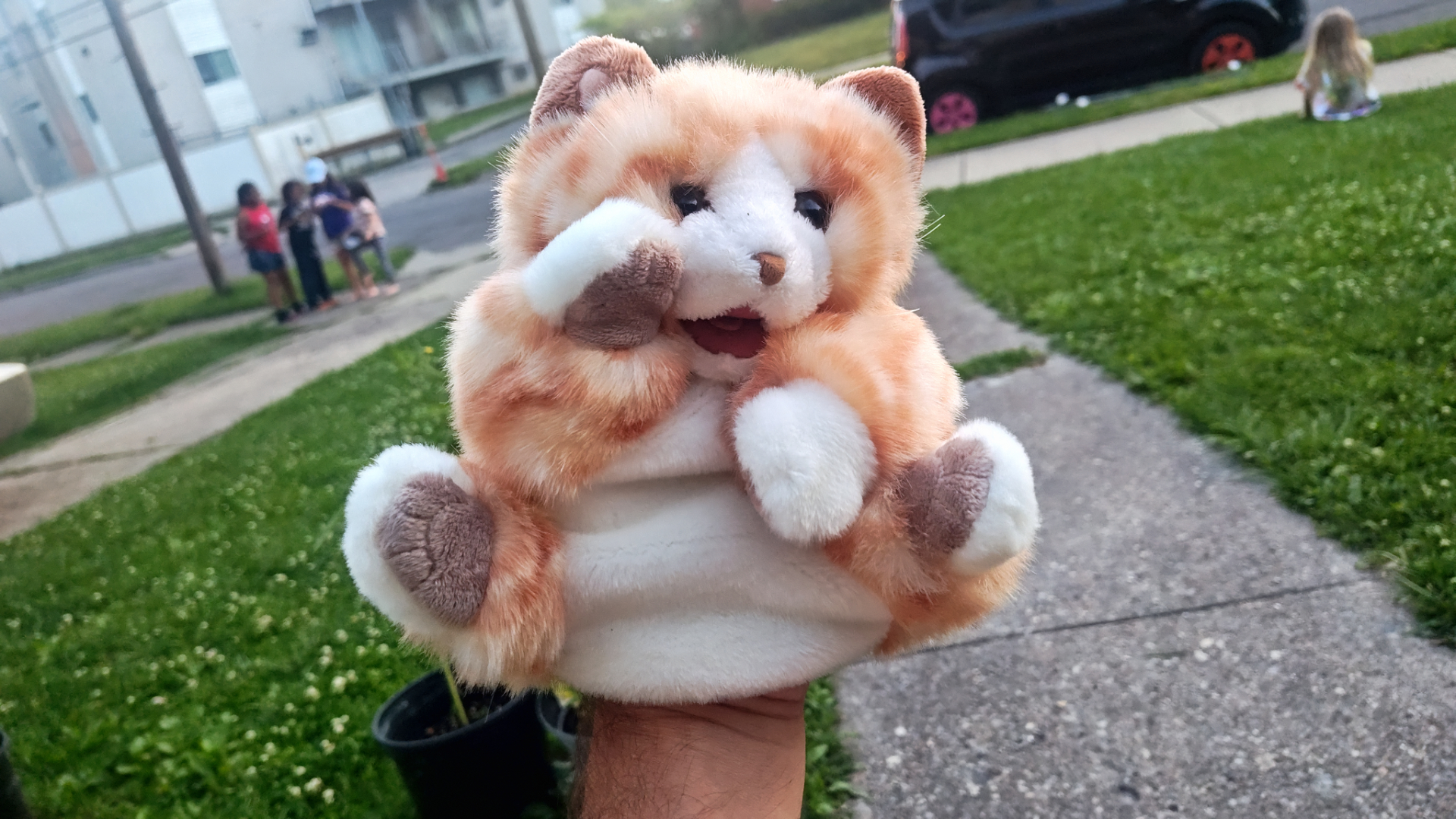 Paw-don Me