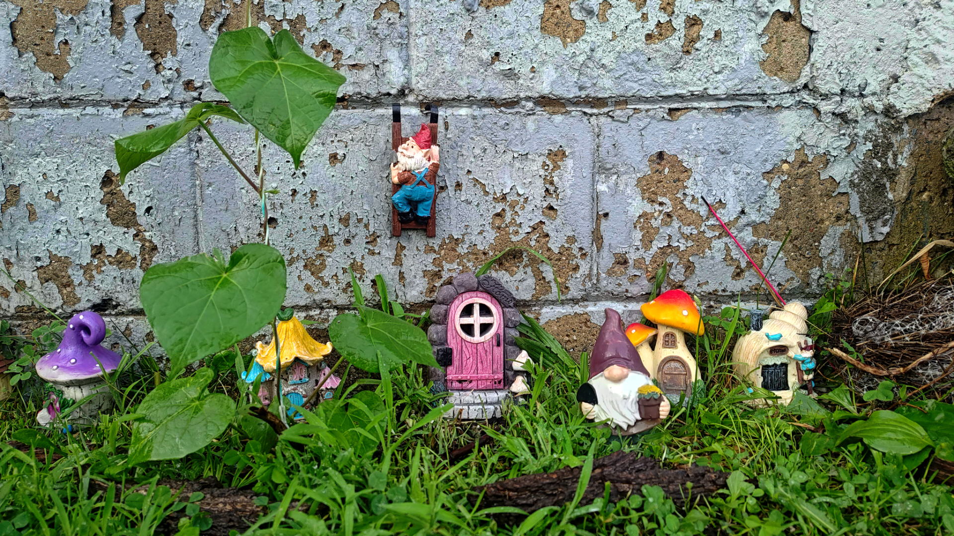 Welcome to the Jungle