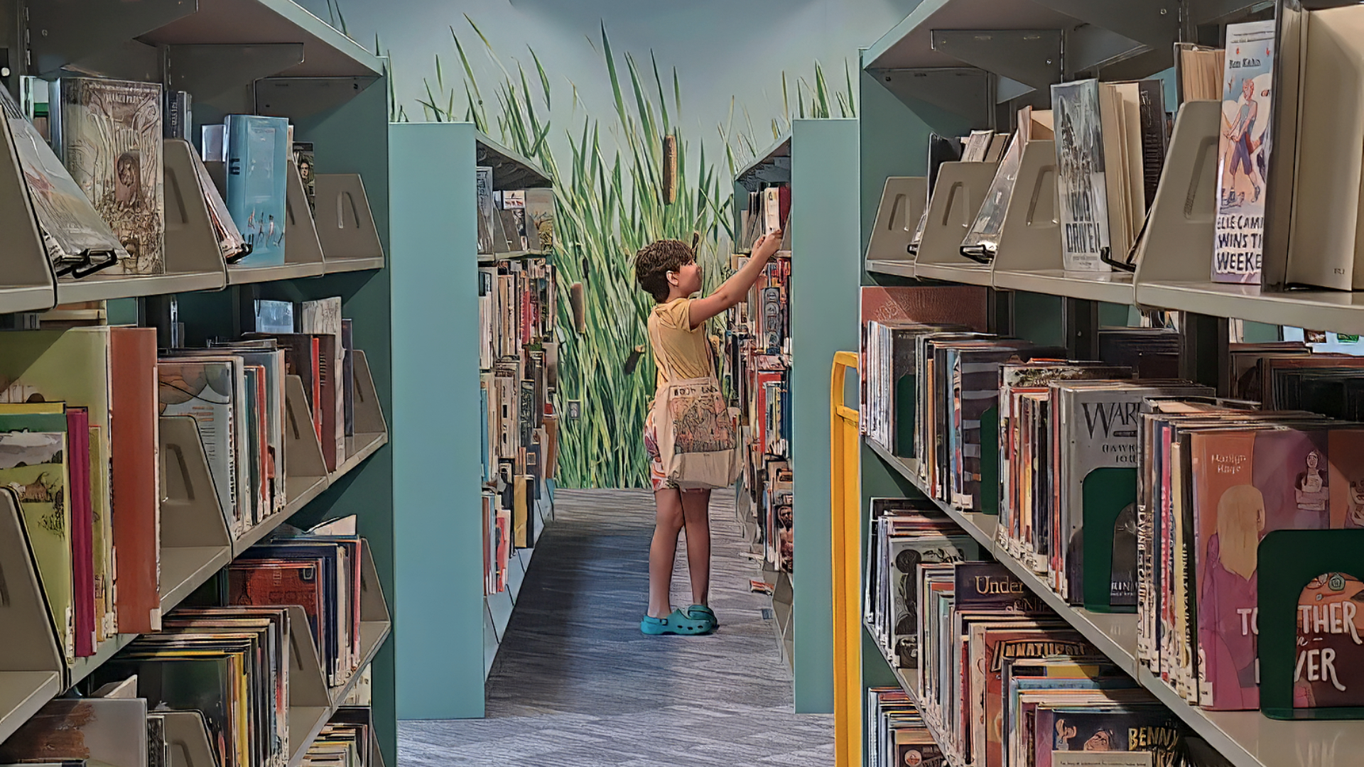 Library  ❤️ Love