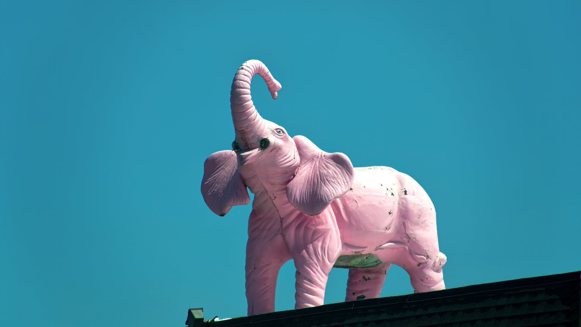 Pinky