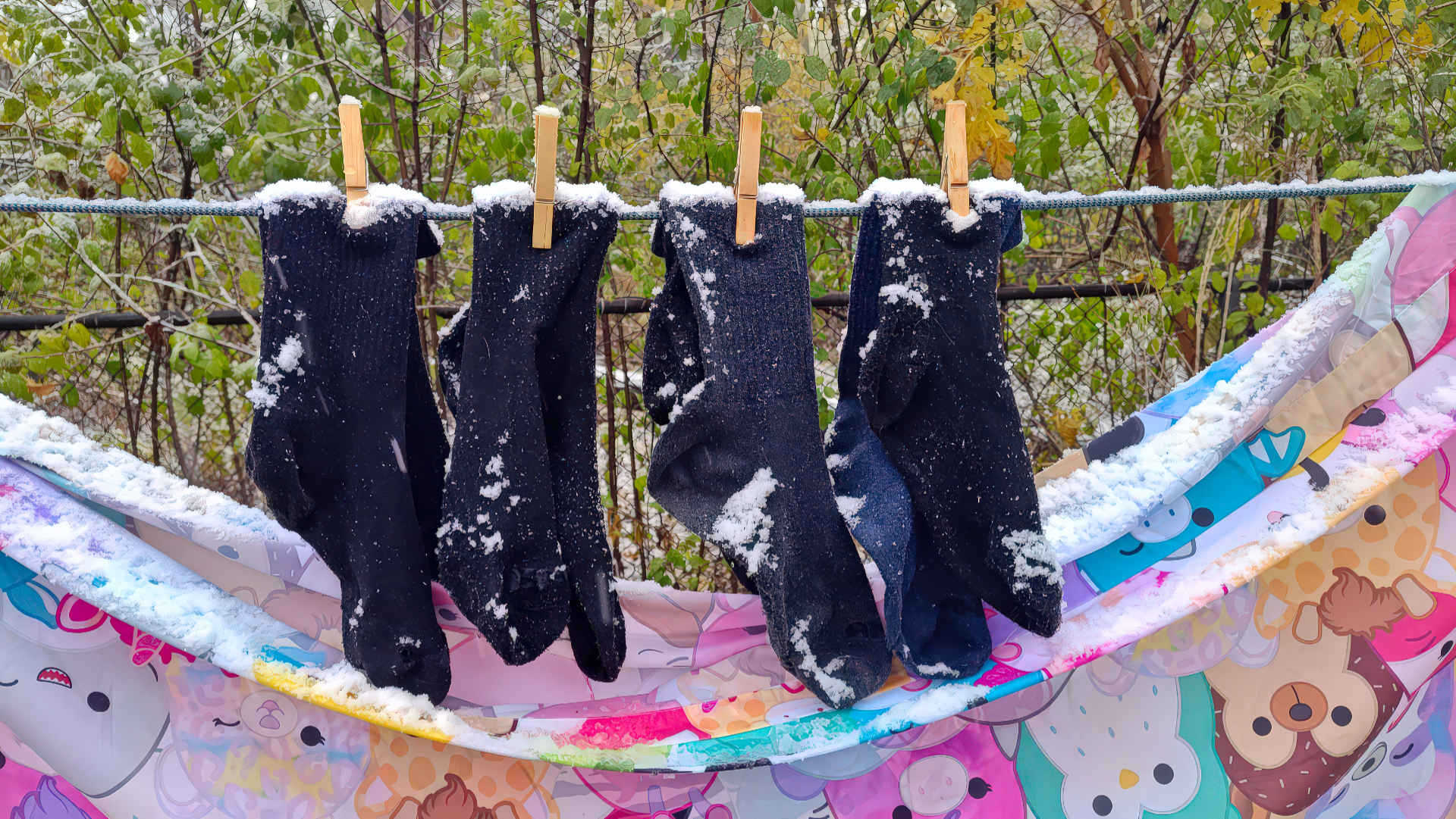 Oh What a Beautiful Morning