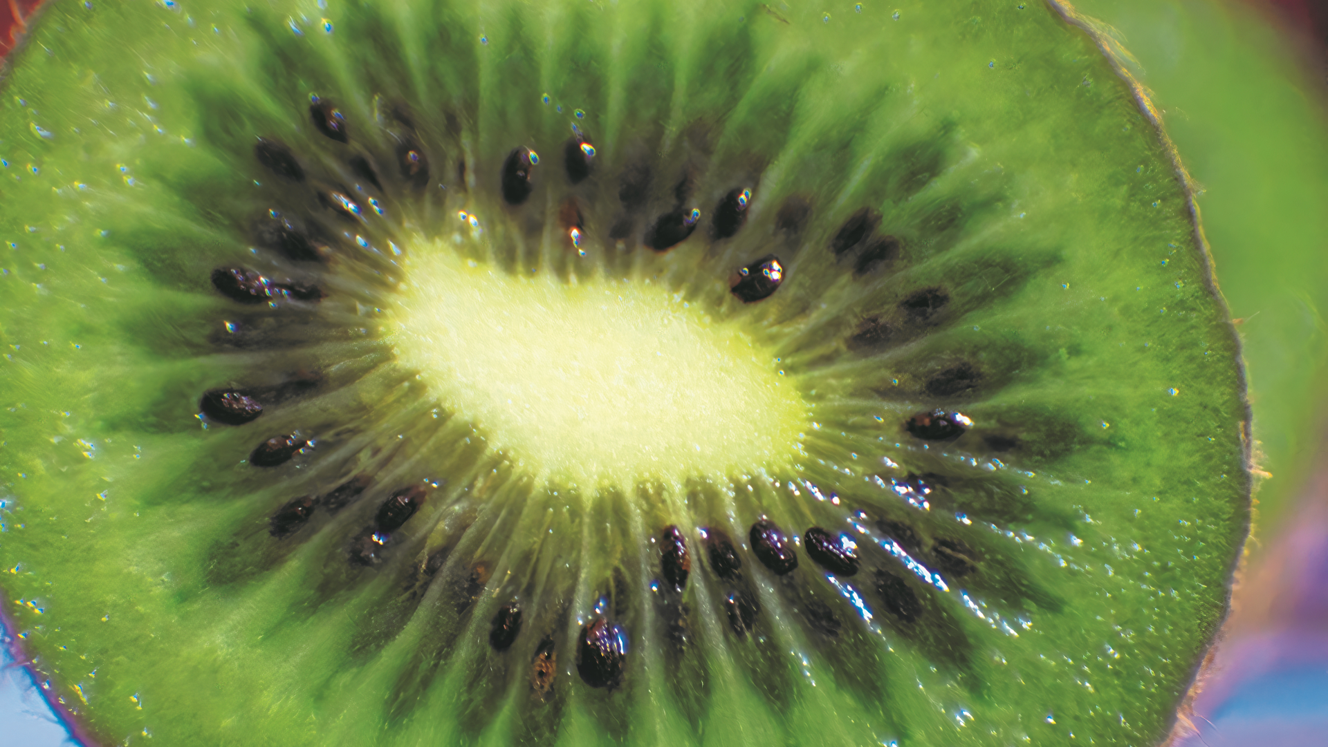 Kiwi