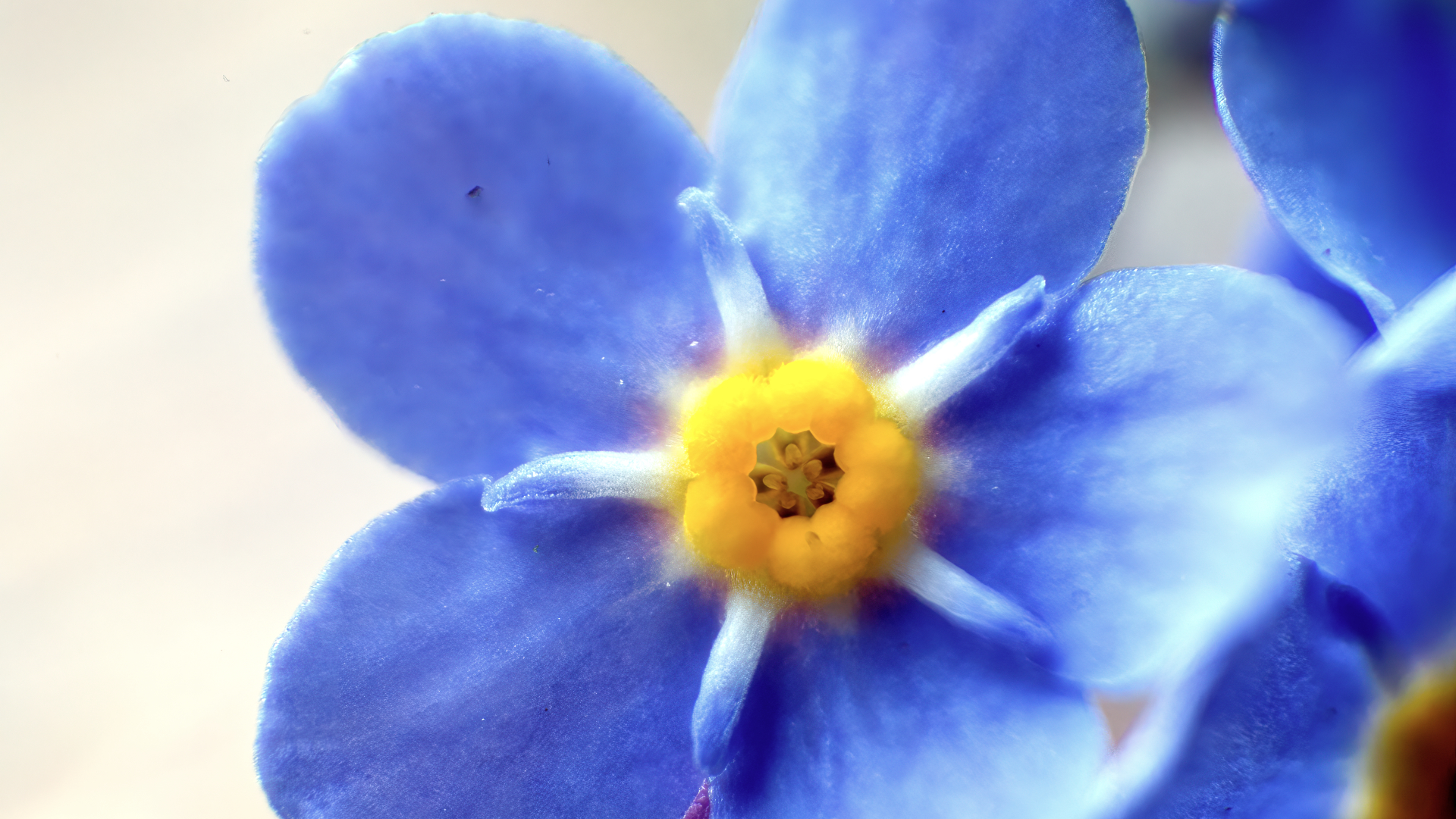 Small is Beautiful