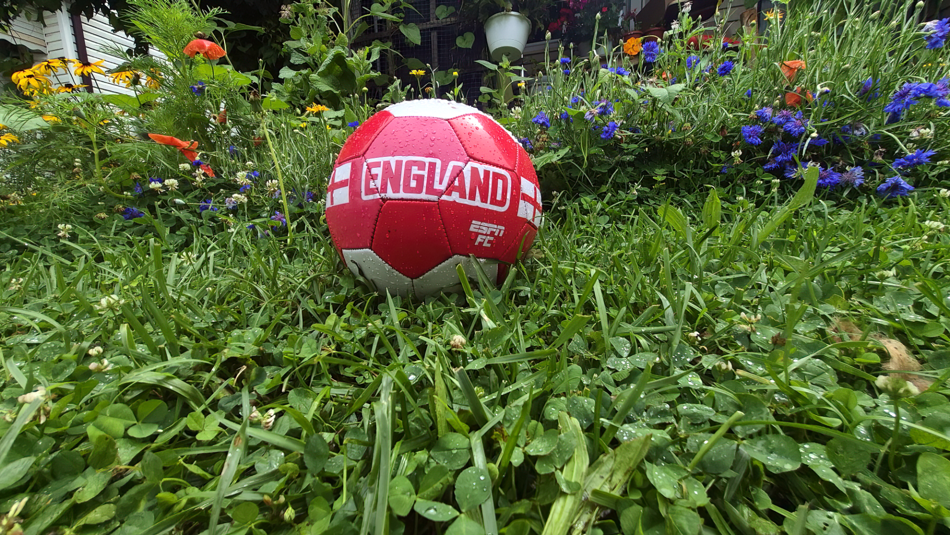 English Garden