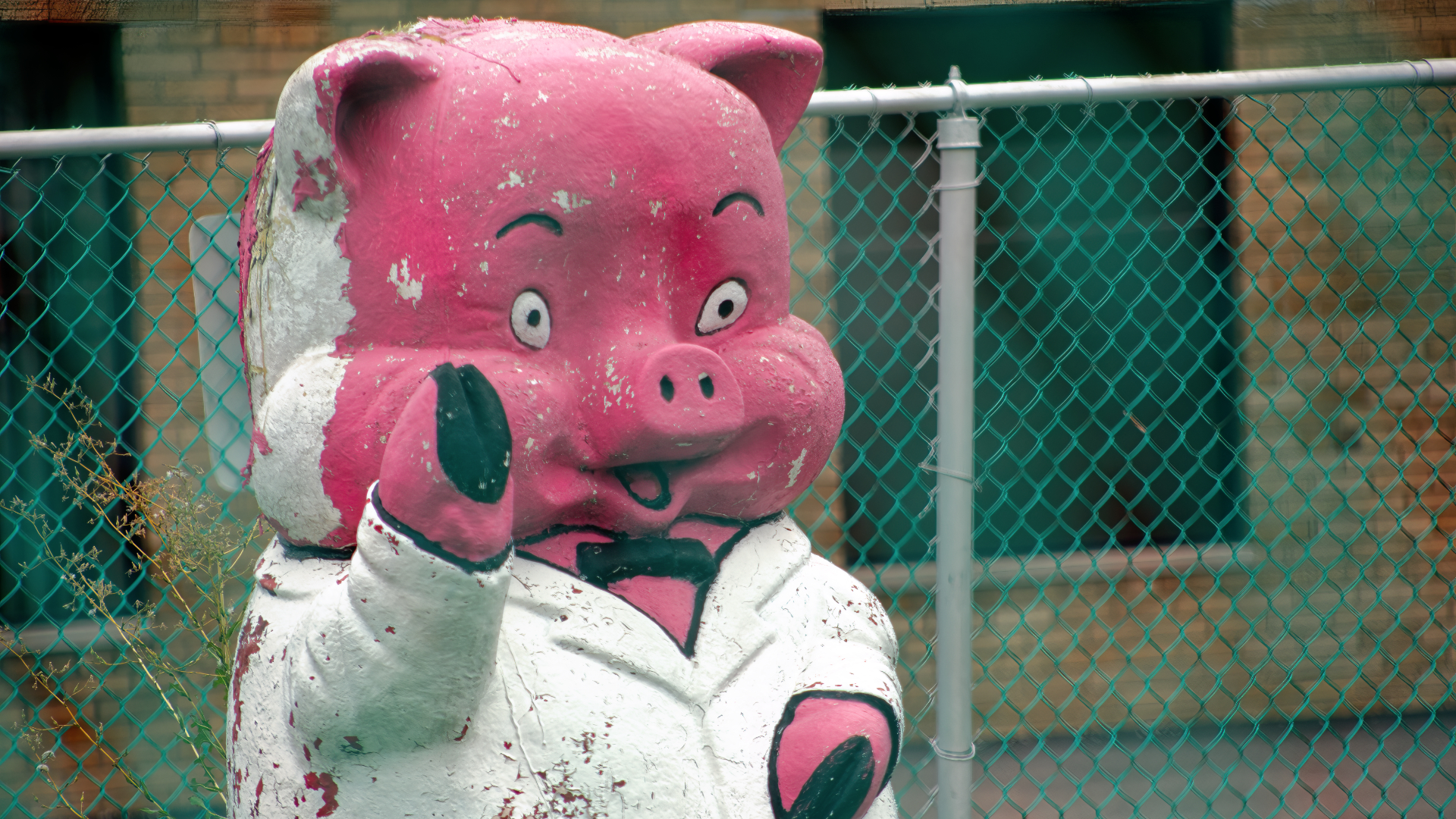 Piggy Says Hi