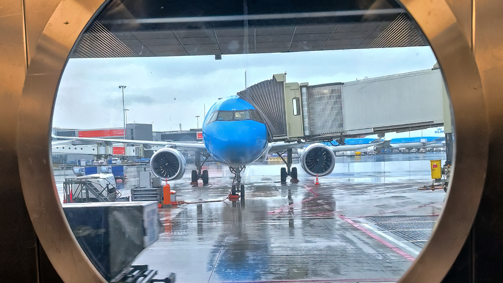 Homeward Bound